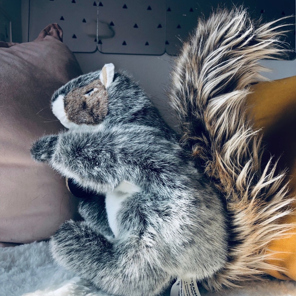 Squirrel puppet 2019 holding a nut